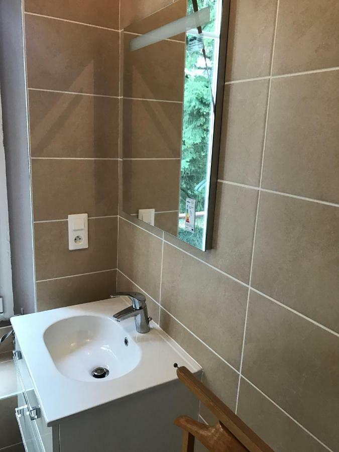 Apartamento Chez Auguste Nancy Exterior foto